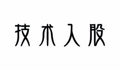 技术入股诠释 ——做好项目的技术后盾