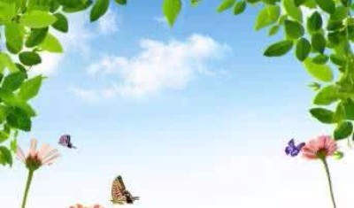 软文发布平台