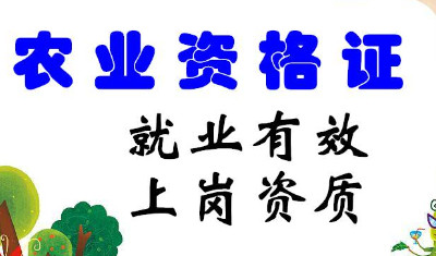 技能培训职业(职业技能培训有哪些)