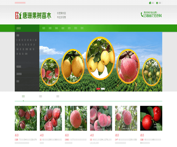 果树苗