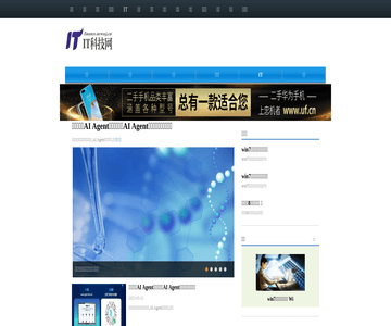 中国IT科技网