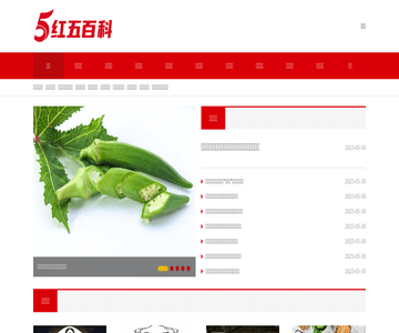 红五百科