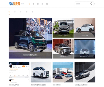 中国汽车消费网