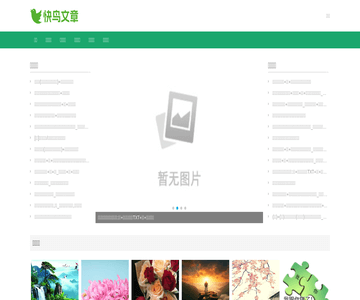 快鸟文章网