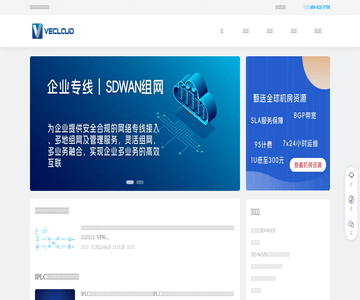 企业组网