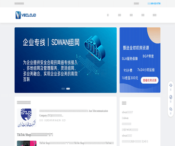 企业组网