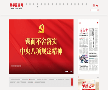 新华报业网