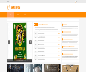 瘦鸟游戏攻略网