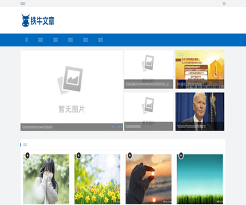 铁牛文章网