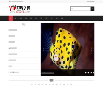 VIP世界之最