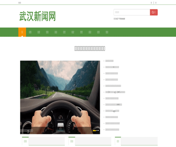 武汉新闻网