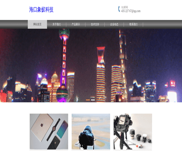 中国美术报