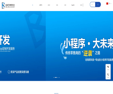软件开发定制