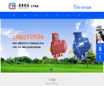 江蘇大中電機股份