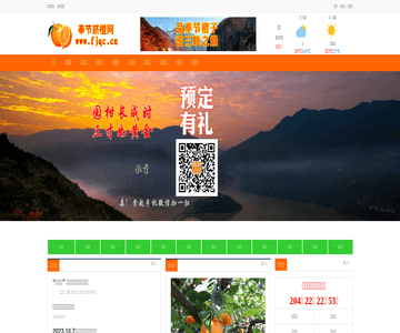 奉节脐橙网