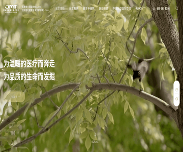 译程健康管理