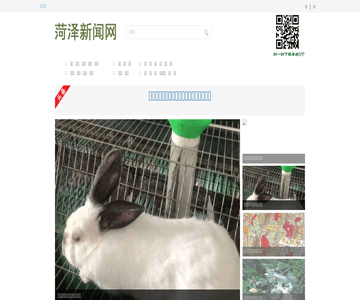 菏泽新闻网