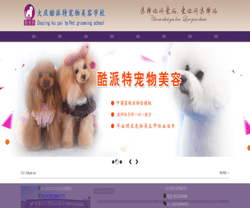 大庆宠物美容学校