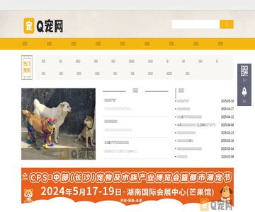 宠物资讯平台