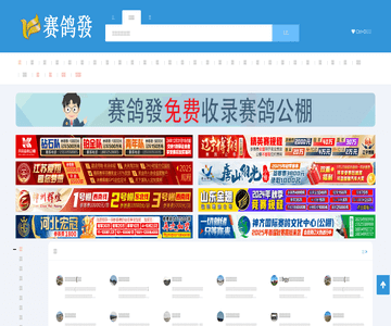 赛鸽發