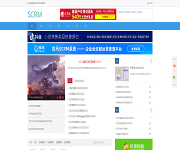 SCRM中国