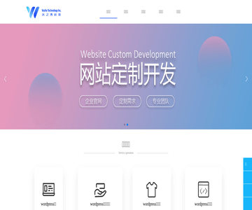 网站系统开发