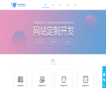 网站系统开发