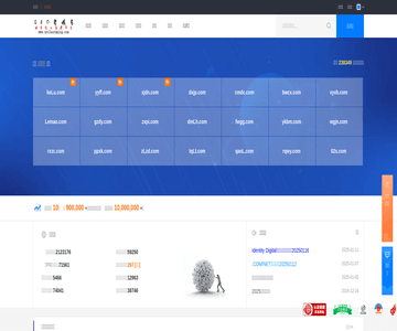 seo老域名