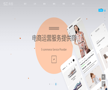 商智网络科技有限公司