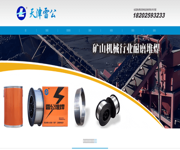 天津雷公焊接材料
