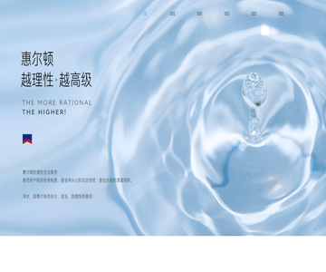 惠尔顿前置过滤器