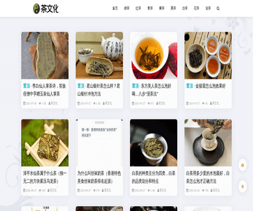 ren中国茶文化