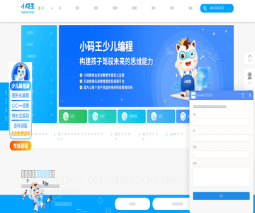 小码王