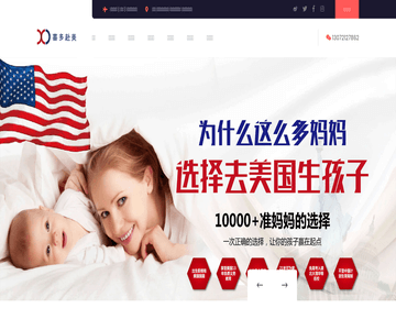 赴美生子产子
