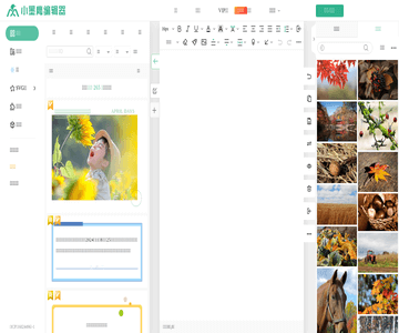 小墨鹰微信编辑器