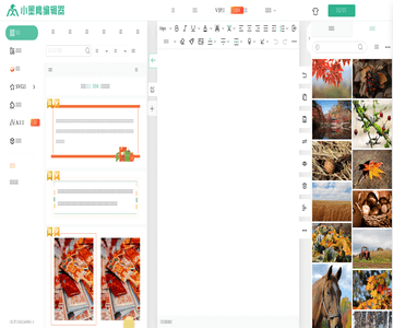 小墨鹰微信编辑器